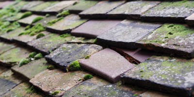 Broadlay roof repair costs